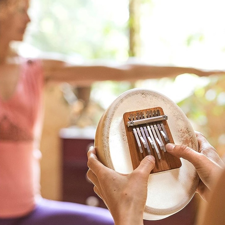 hokema sansula basic